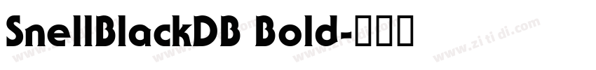 SnellBlackDB Bold字体转换